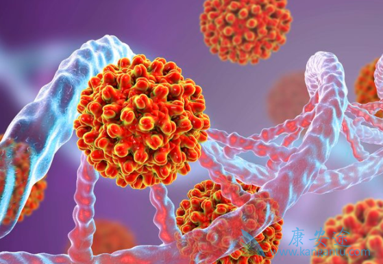 �ΰ�����