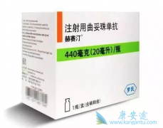 �����鵥������Ҫ�����ٰ���HER2����ҩ��֮һ