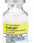 T-DM1����HER2�����������ٰ����ߵĶ�����ѡ����