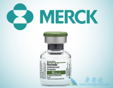 IDO1ø���Ƽ�Epacadostat����PD-1����Keytruda����Ч��