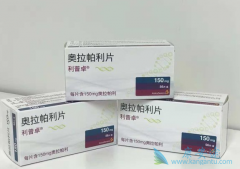 PARP���Ƽ���������Ŀǰ�����ٰ����Ƶ��Ƽ�ҩ��