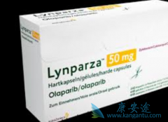 ��������������PARP���Ƽ�֮���к�����