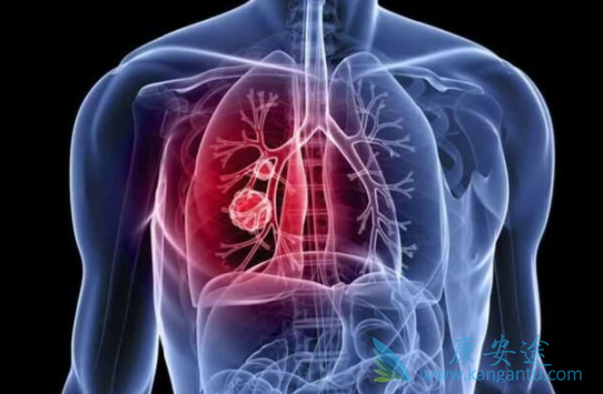 ��Сϸ���ΰ�