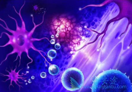 �෢�Թ�����