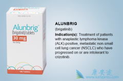 ȫ��ALK���Ƽ�Brigatinib��Ϊһ���Ʒ�������Ч�����ڿ�������