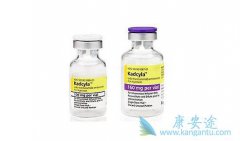 T-DM1���� HER-2 ����ת�������ٰ����о���״