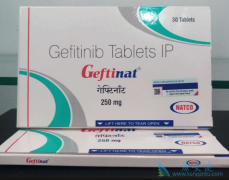 ���������ӻ��ΰ�ҩ������ɳ(GEFITINIB)��ҩ�������