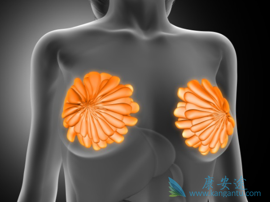 �����쵥��ע��Һ