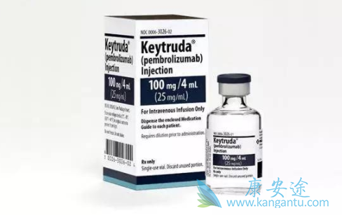 �������鵥��