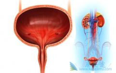 �������ư��װ�������ҩ������pembrolizumab��