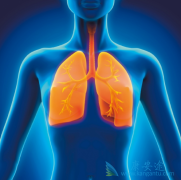 �������鵥���Աȶ���������PD-L1��50%�Ļ����о����ӳ���������