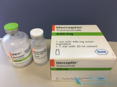 ����ʹ�������鵥��(trastuzumab)������ѷ�������
