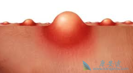 ����֯����