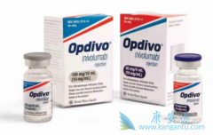 �������ȵ����ڽ��ܹ�TKI���Ƶķ�Сϸ���ΰ������е���Ч