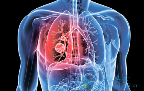 恩沙替尼 恩沙替尼