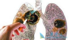 ��ŵ�����Ϳ������ᶼ�����ƶ���������ת�Ƶİ���ҩ��