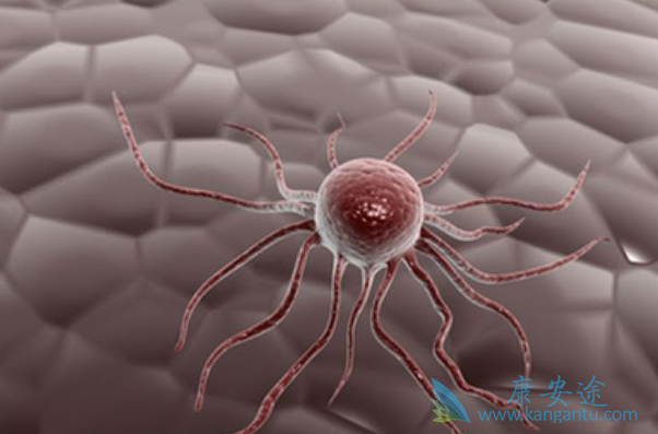 氟维司群 氟维司群