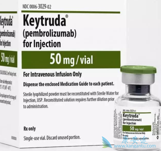 �������鵥��