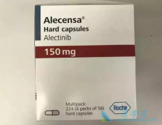 ��ʥɯ/��������Ͽ���������������ټ�����չ����������