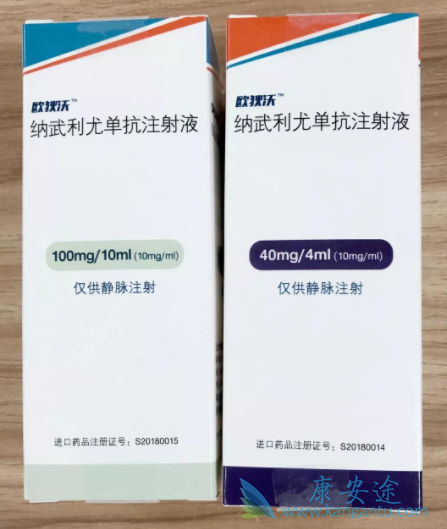 纳武利尤单抗注射液 纳武利尤单抗注射液
