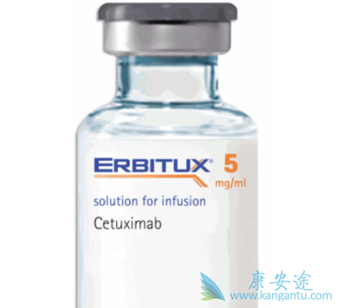 西妥昔单抗 西妥昔单抗