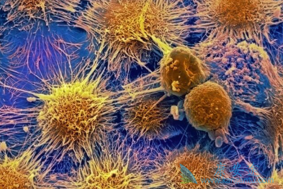 �ΰ�������