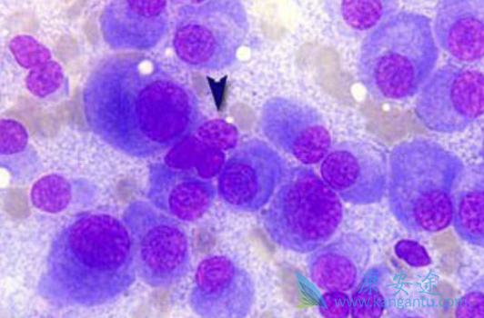 �෢�Թ�����