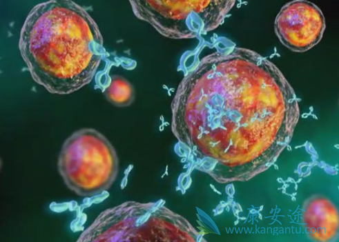 �෢�Թ�����