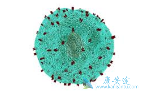 ���߼������Ƽ�