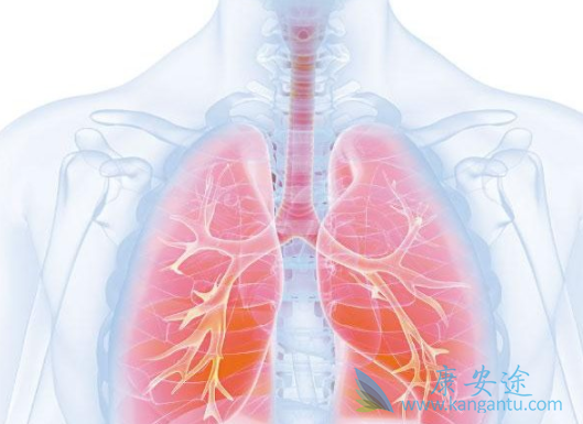 安罗替尼 安罗替尼