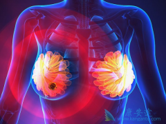 PD-1���������Ʒ����������ٰ���������Ӧ����