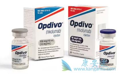 Nivolumab Nivolumab