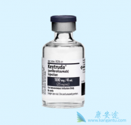 �����(Keytruda)��Ŀǰ������Ӧ֢������㷺��һ��PD-1����