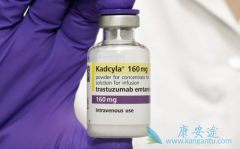 ��HER2���������ķΰ�����T-DM1(Kadcyla)��Чͬ��ͻ��