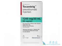 PD-L1���Ƽ�Atezolizumab�ս���Сϸ���ΰ�����ʮ���ҩ������