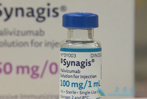 �����鵥��