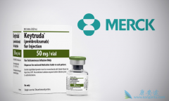 PD-1���Ƽ���Keytruda�������������ڻ�ת����ʳ�ܰ�������Ч