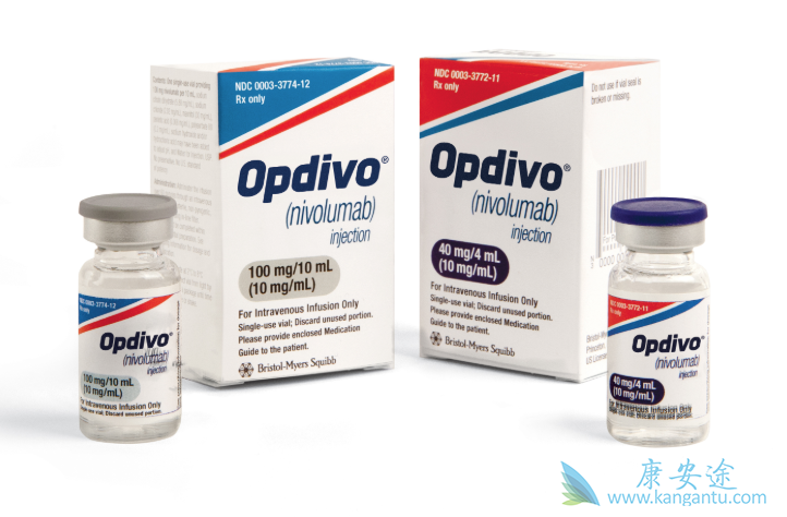 ��ֱ��������