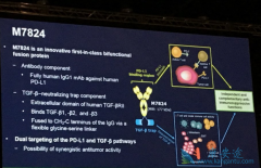 ����PD-1ҩ��M7824��һ��ҩ��Opdivo���������Щ�ŵ�