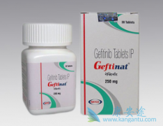 ����ɳ(GEFINAT)��ҩ����Ӧ����������չ����ѡ�����Ʒ���