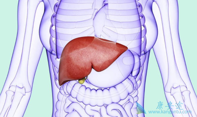 ���͸���