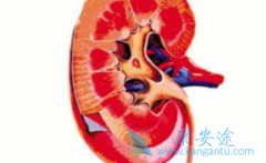 ���������ǳ��������ỹ�ǽ����������ƣ�