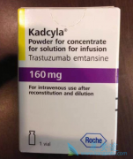 T-DM1�������ٰ�������HER2����ͻ��ķΰ�����Ҳ��Ч