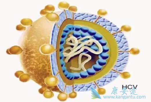 �����ܻ�����