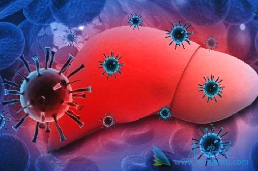 ���濨Τ��ɢƬ