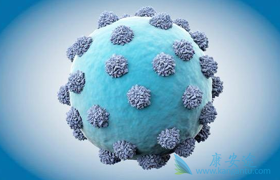 ���λᴫȾ��