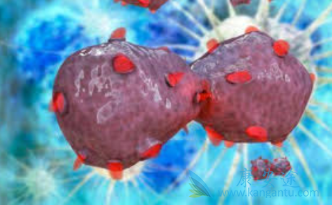 �����Ҹ�