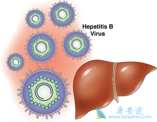 ��Ӳ����ô����