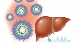 ѪҺ͸����������Ʊ������κã�