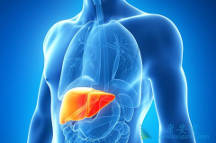 ���µ����Ʊ��ε�ҩ��DAA�ĵ����ı��˱������Ƶ���״